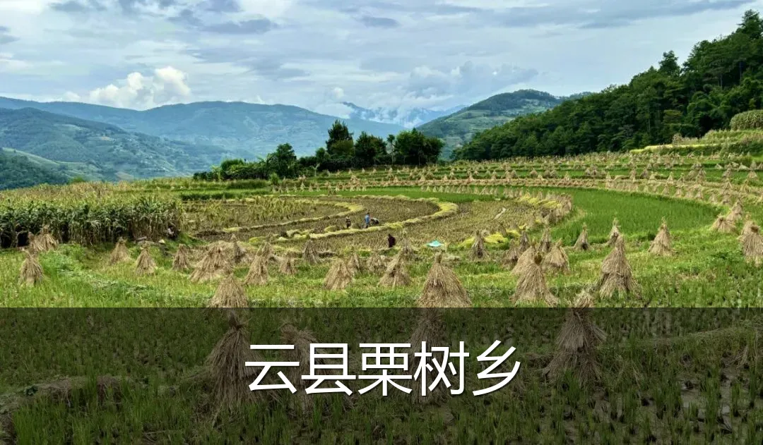 云县栗树乡