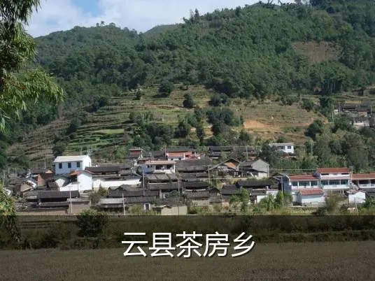 云县茶房乡